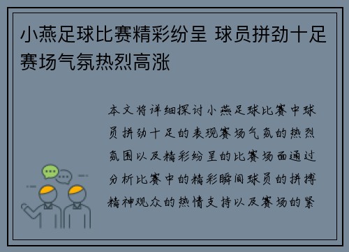 小燕足球比赛精彩纷呈 球员拼劲十足赛场气氛热烈高涨