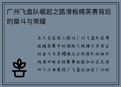 广州飞盘队崛起之路滑板精英赛背后的奋斗与荣耀